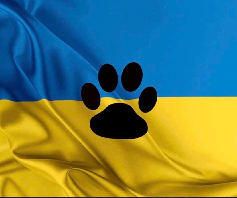 Huisdieren uit Oekraïne: voor het gastgezin